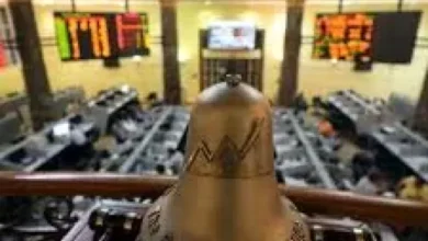 البورصة المصرية - السهم