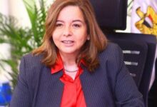الرئيس التنفيذي لصندوق الإسكان الاجتماعي ودعم التمويل العقاري - بوابة السهم