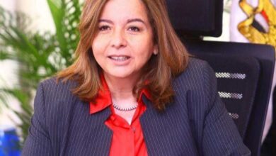 الرئيس التنفيذي لصندوق الإسكان الاجتماعي ودعم التمويل العقاري - بوابة السهم