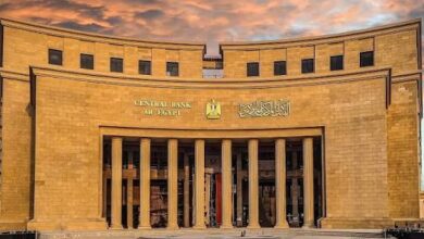 البنك المركزي المصري - بوابة السهم