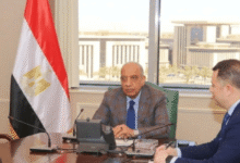 وزير الكهرباء يجتمع برئيس هيئة المحطات النووية - بوابة السهم