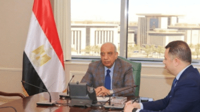 وزير الكهرباء يجتمع برئيس هيئة المحطات النووية - بوابة السهم